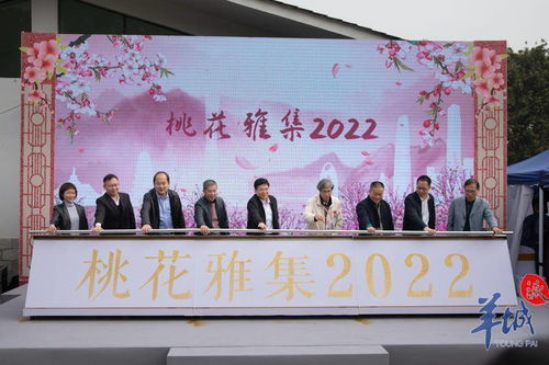 桃花雅集2022 白云區(qū)非遺沉浸式體驗(yàn)開(kāi)啟文化交融新篇章